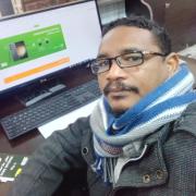 صورة تعبر عن العضو :  الانيق الأسمر