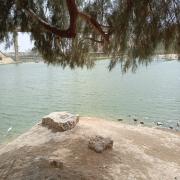 صورة تعبر عن العضو :  Alaa2025