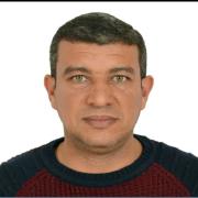 صورة تعبر عن العضو :  el3omdah