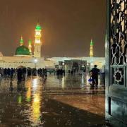 صورة تعبر عن العضو :  محمد عبد المنعم مدينتي