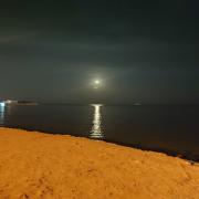 صورة تعبر عن العضو :  صرمد ملف مشابه