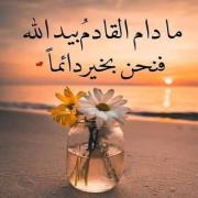 صورة تعبر عن العضو :  Baheana