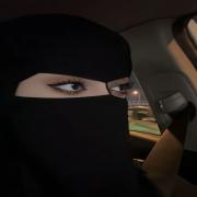 صورة تعبر عن العضو :  Hmsibbaq1