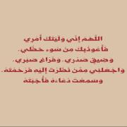 صورة تعبر عن العضو :  SHAQRAN0 ملف مشابه
