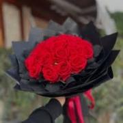 صورة تعبر عن العضو :  Mody 1995
