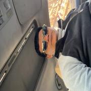 صورة تعبر عن العضو :  Elwaly