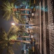 صورة تعبر عن العضو :  Hooda26