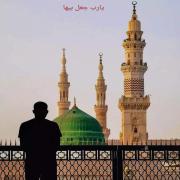صورة تعبر عن العضو :  وجد