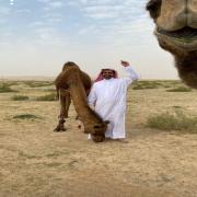 صورة تعبر عن العضو :  فيصل الاكلبي