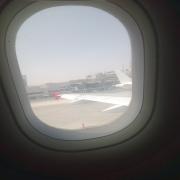 صورة تعبر عن العضو :  Mohalla