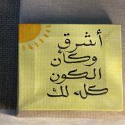 صورة تعبر عن العضو :  Akool
