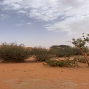 صورة عبدالله الناهسي
