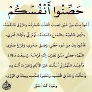 صورة تعبر عن العضو :  Amr A F