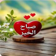 صورة تعبر عن العضو :  REdakm1