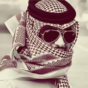 صورة تعبر عن العضو :  Hani omar