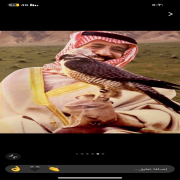 صورة تعبر عن العضو :  Aasdh702